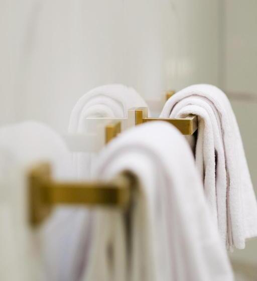 جناح رئاسى, Ned