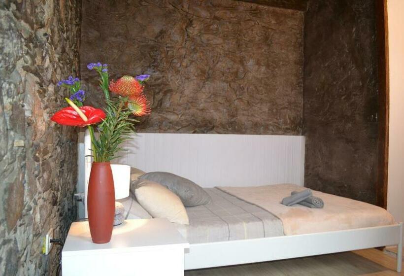 标准间, Casa álamo Agaete