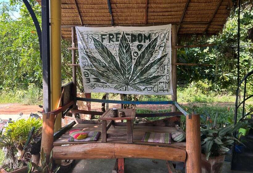 اتاق اکونومی, Hippy Hut Koh Chang