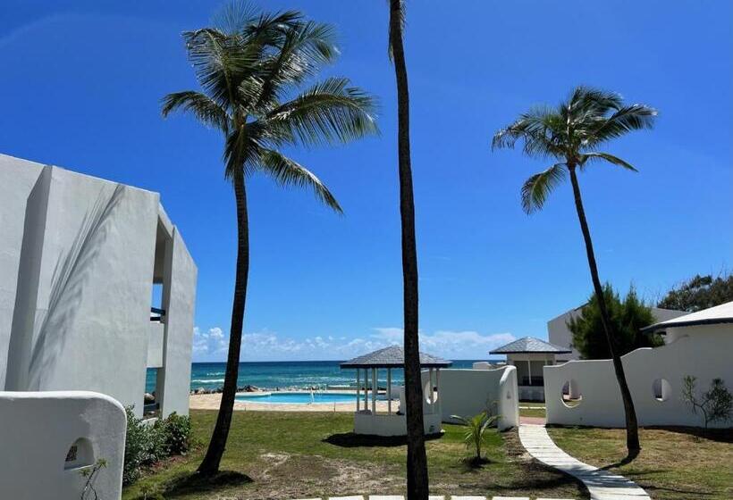 اتاق استاندارد با تخت بزرگ, Oceanblue