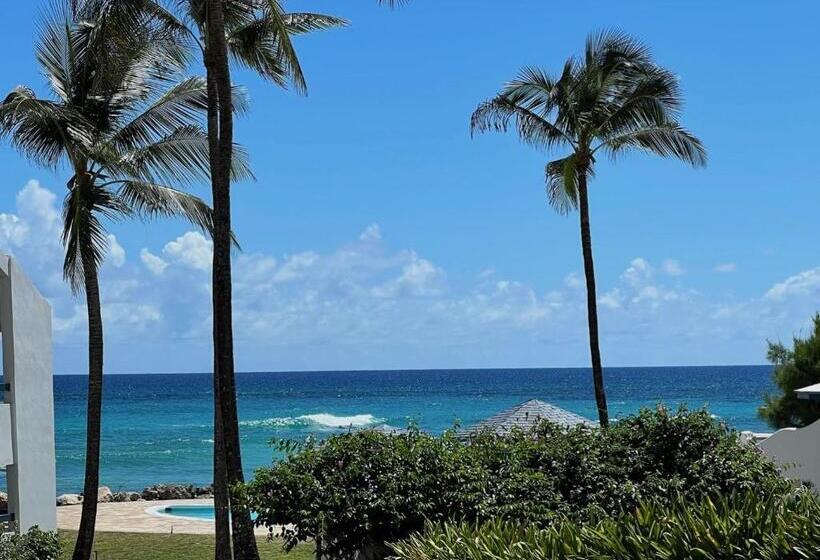 اتاق استاندارد با تخت بزرگ, Oceanblue