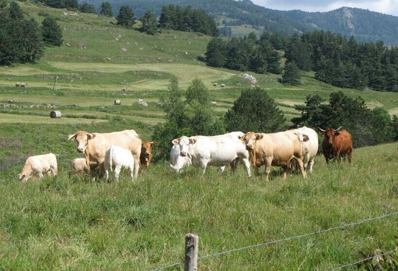 스탠다드 트리플 룸, Maison Sarda