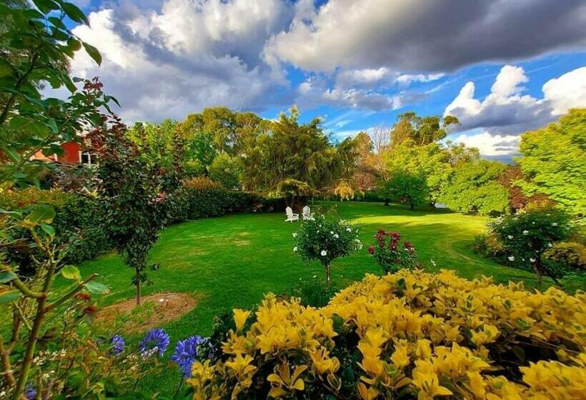 اتاق استاندارد با تخت دو نفره بزرگ, Hawk S Nest Bed & Breakfast