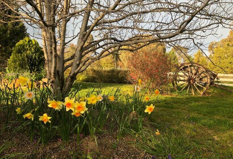 اتاق استاندارد, Hawk S Nest Bed & Breakfast