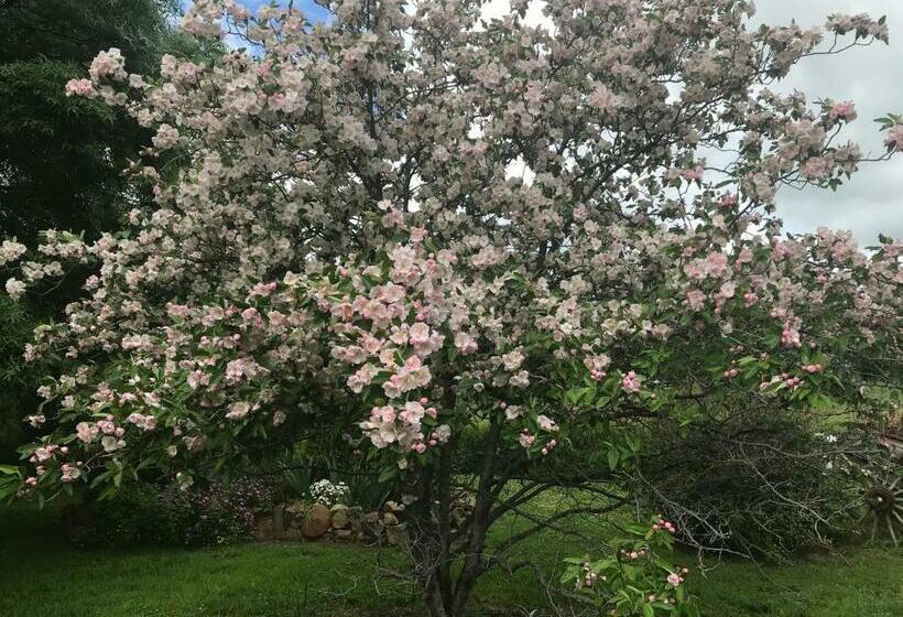 اتاق استاندارد, Hawk S Nest Bed & Breakfast