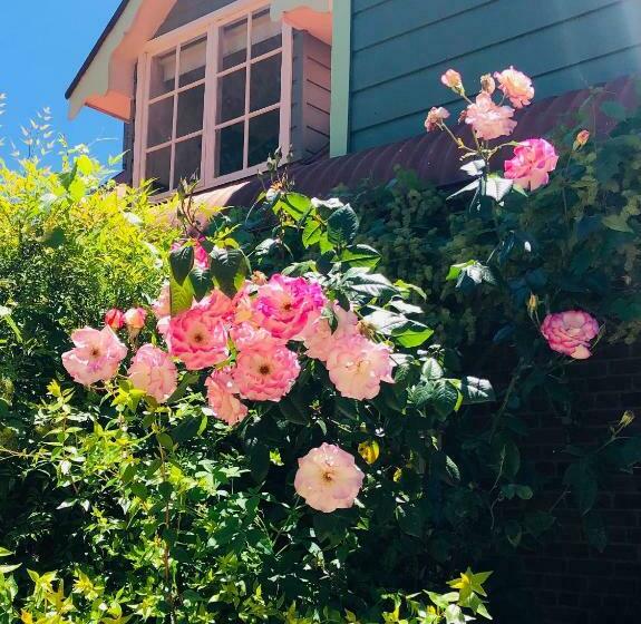 اتاق استاندارد, Hawk S Nest Bed & Breakfast