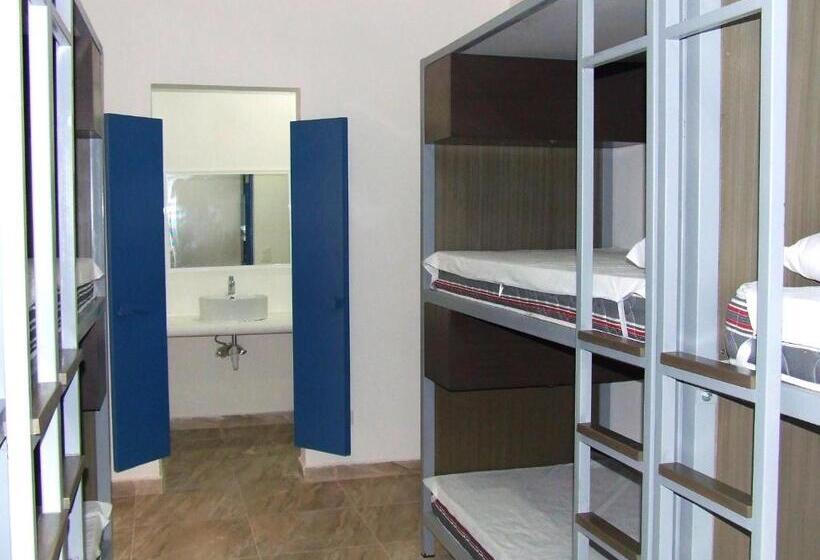 تختخواب در اتاق مشترک, Hostel Humanity