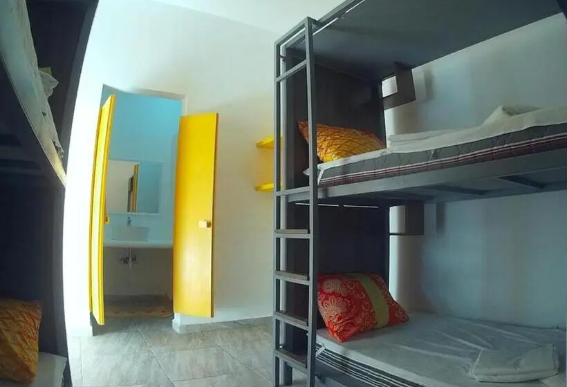 ルームシェアのワンベッド, Hostel Humanity