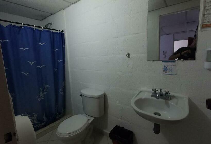 标准间, Ibiza