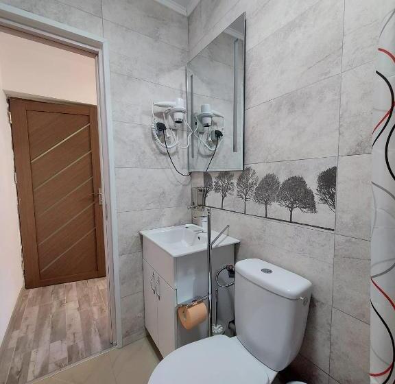 اتاق استاندارد, Pensiunea Luca Straja