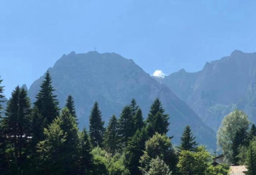 חדר סטנדרט נוף להרים, Pensiunea Sport