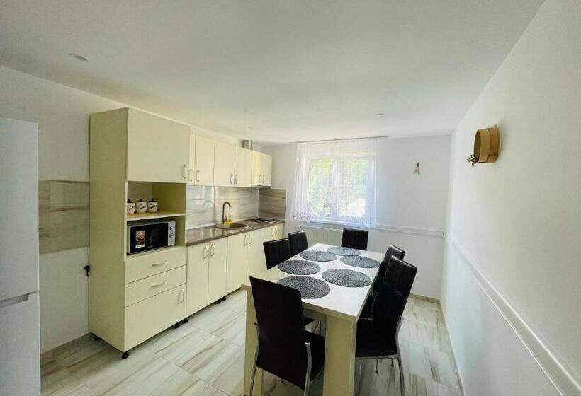 חדר סטנדרט נוף להרים, Pensiunea Sport