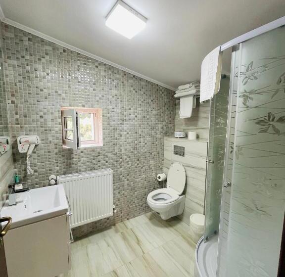 חדר סטנדרט נוף להרים, Pensiunea Sport