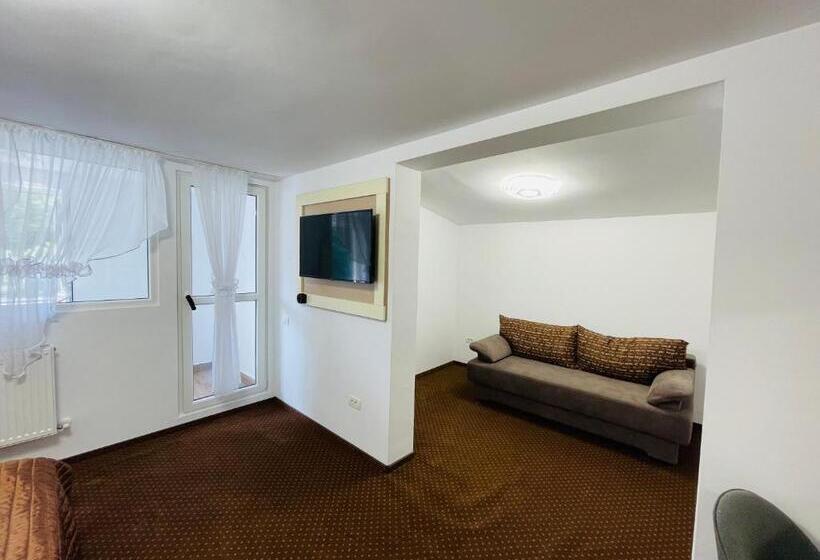 חדר סטנדרט נוף להרים, Pensiunea Sport