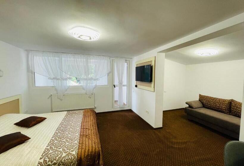 חדר סטנדרט נוף להרים, Pensiunea Sport