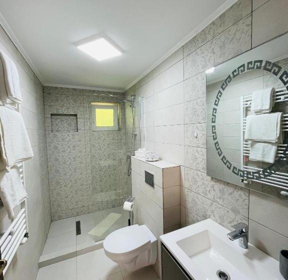 חדר סטנדרט עם מרפסת, Pensiunea Sport