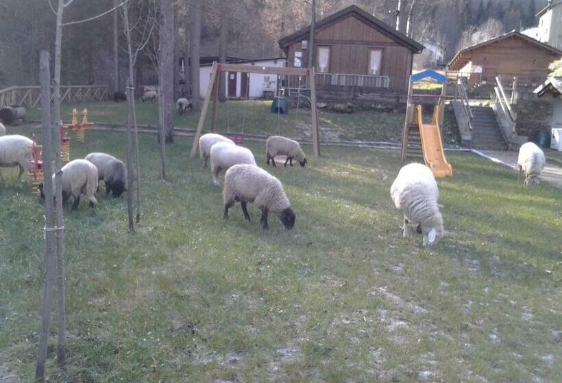 浴室共有スタンダード４人用ルーム, B&b La Miando