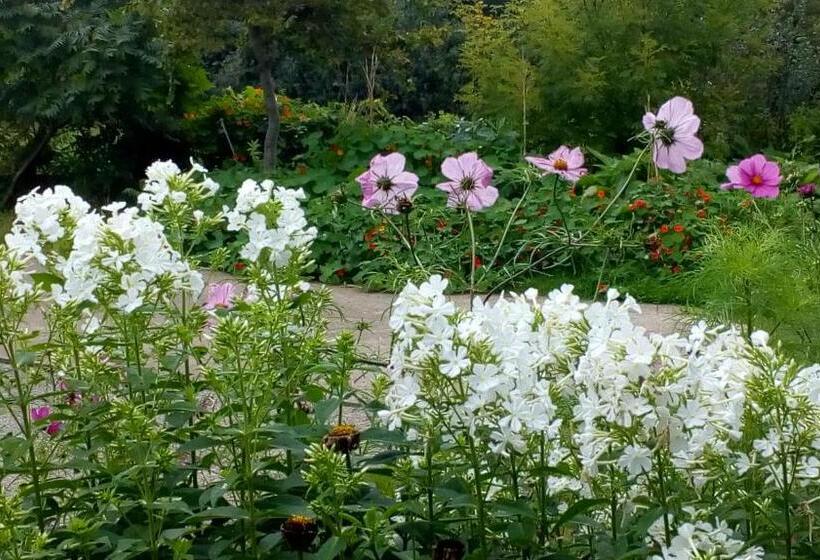 חדר סטנדרט לשלושה, Lisieux House On Lough Neagh
