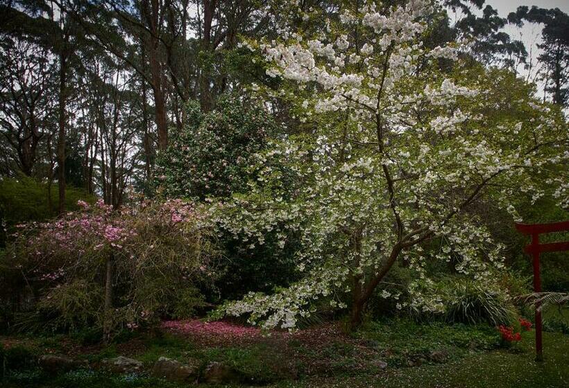 豪华工作室, Tomah Retreat Studio Relax With Fireplace