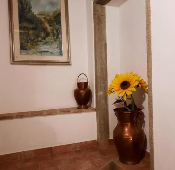 ガーデンビュースタンダードルーム, Sassomatto B&b Bioagriturelax