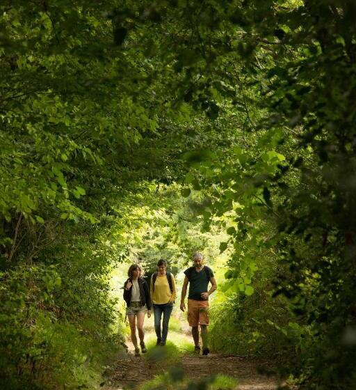 침실 1개 테라스 아파트, Maison D Hôtes Les Jardins Saint Eloi