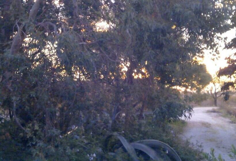 家庭套房, Mas Soleil Et Vignes