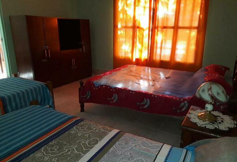 정원 전망 4인용 스탠다드 룸, Hostel Odorico