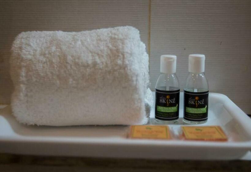 高级大房间, Kings Regency