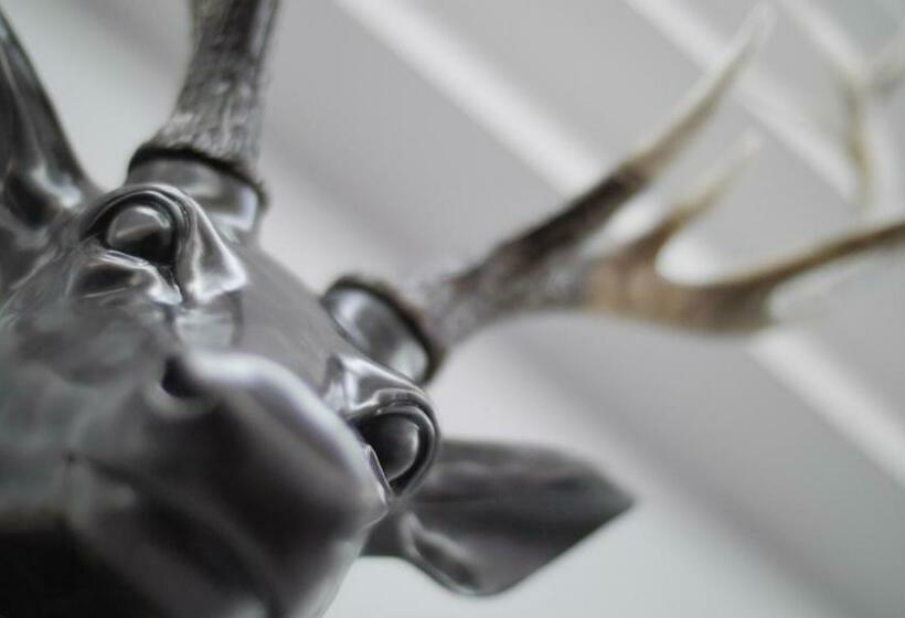 エクゼクティブスイート, Mango The