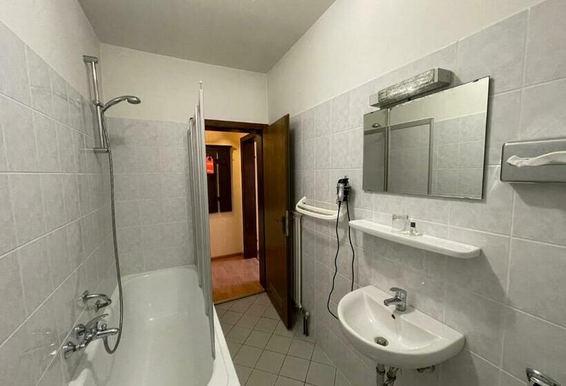 スタンダードシングルルーム, Ochsen