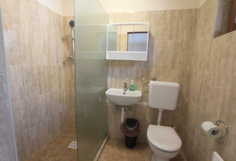 Superior room with lake view, Berger Pince és Vendégház