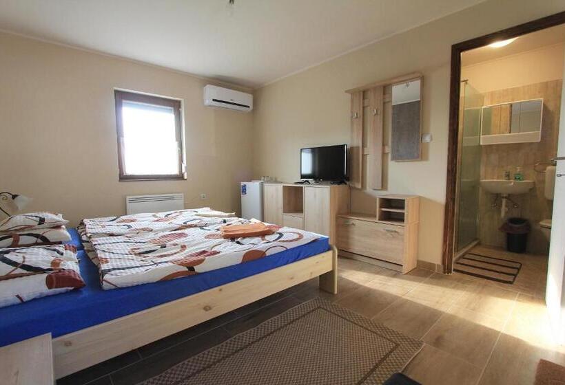 Superior room with lake view, Berger Pince és Vendégház