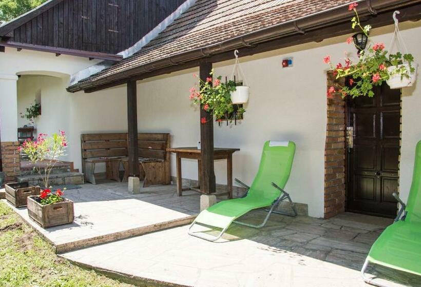 דירת שני חדרים, Cicahegy Vendégház