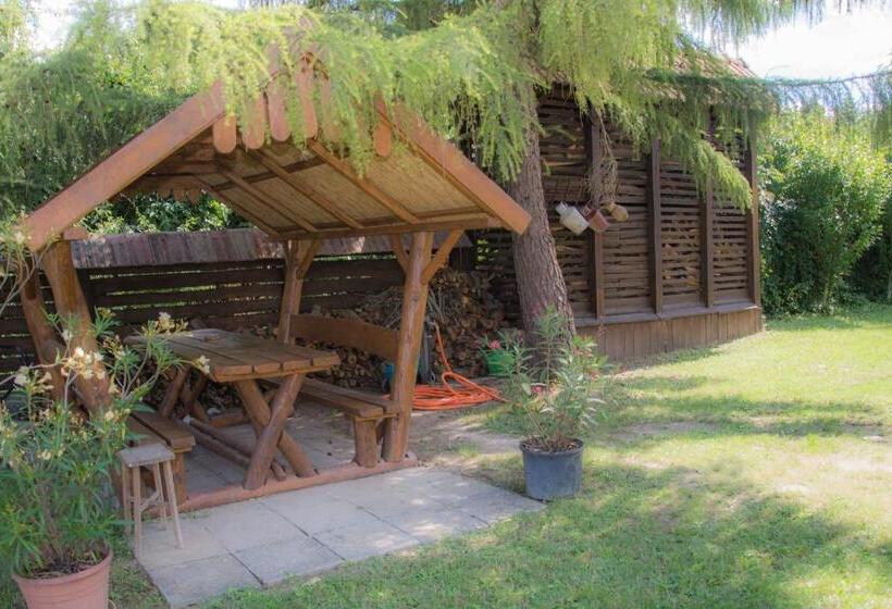 דירת שני חדרים, Cicahegy Vendégház