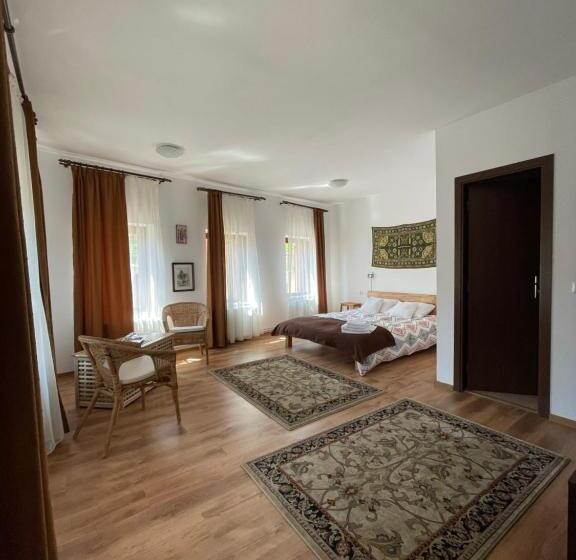 غرفة قياسية, Pensiunea Tudor