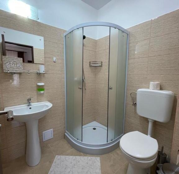 غرفة قياسية, Pensiunea Tudor