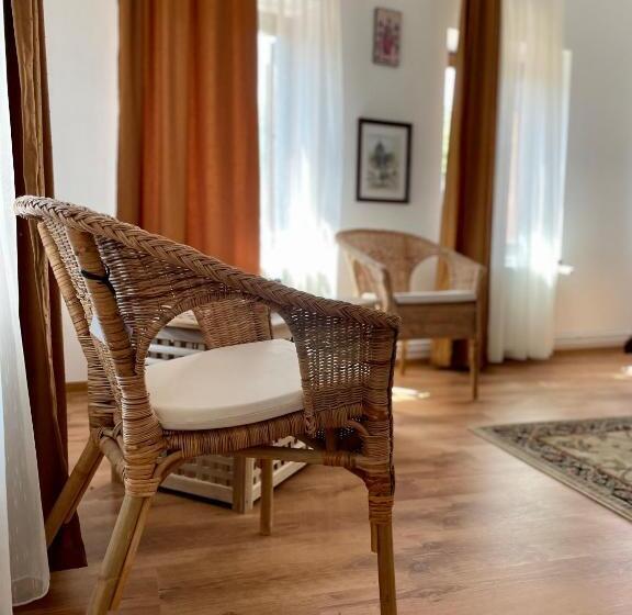 غرفة قياسية, Pensiunea Tudor