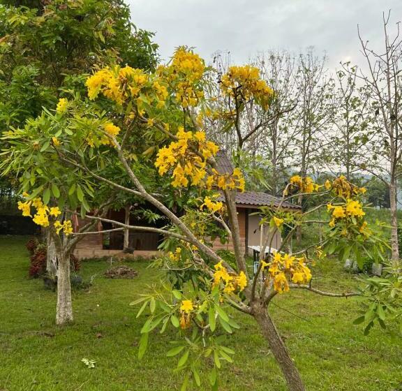 Handikappsanpassat Standard Rum, ไร่นุชชม รีสอร์ทเขาค้อ