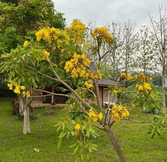 身障者適用スタンダードルーム, ไร่นุชชม รีสอร์ทเขาค้อ
