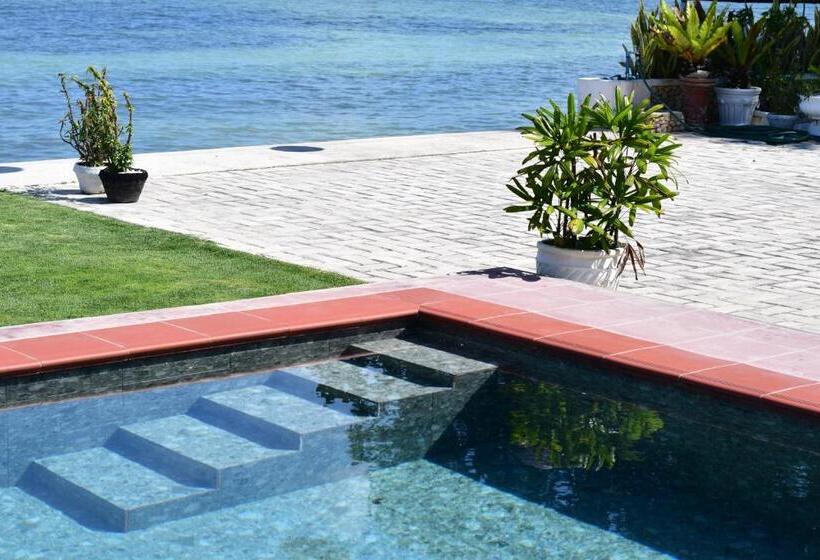 스탠다드 스튜디오 바다 전망, The Beachhouse