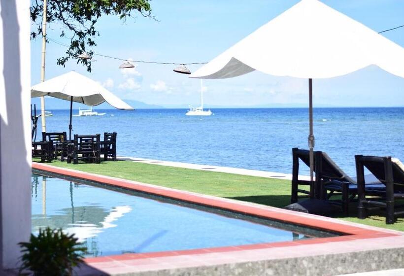 스탠다드 스튜디오 바다 전망, The Beachhouse