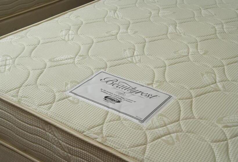 싱글 디럭스 룸, Sorriso Hamamatsu