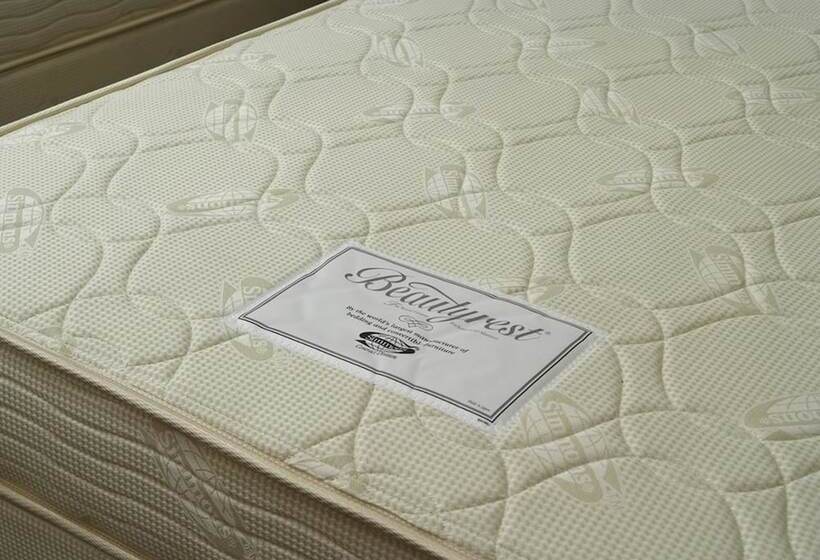 스탠다드 싱글 룸, Sorriso Hamamatsu