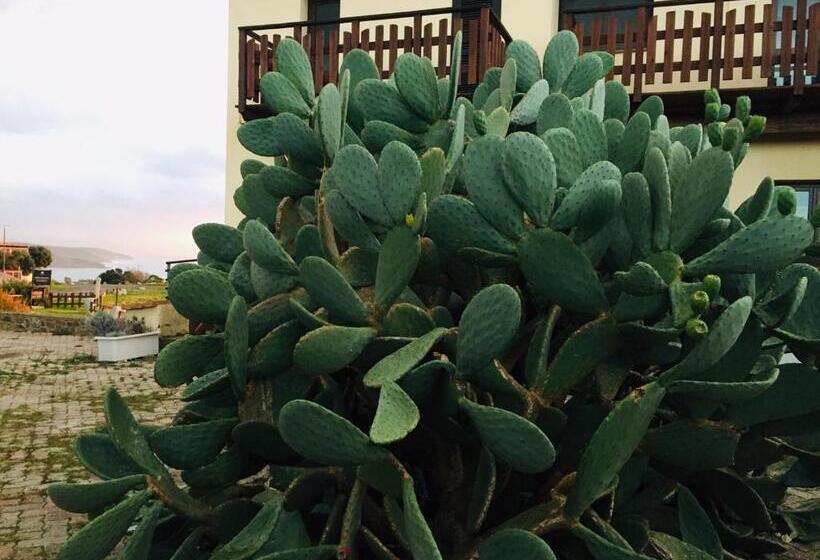 Номер Стандарт Вид на Сад, Torre