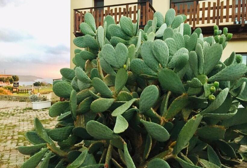 Номер Стандарт Вид на Сад, Torre