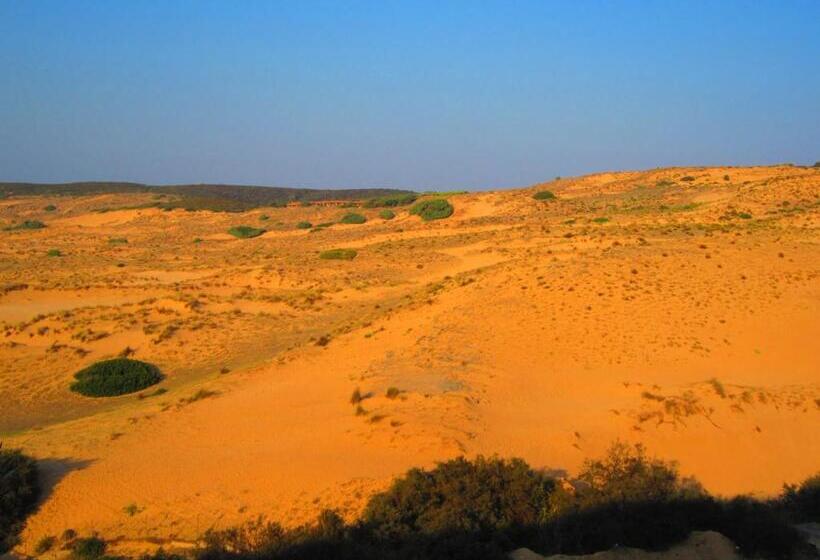 Номер Стандартный с Видом, Torre