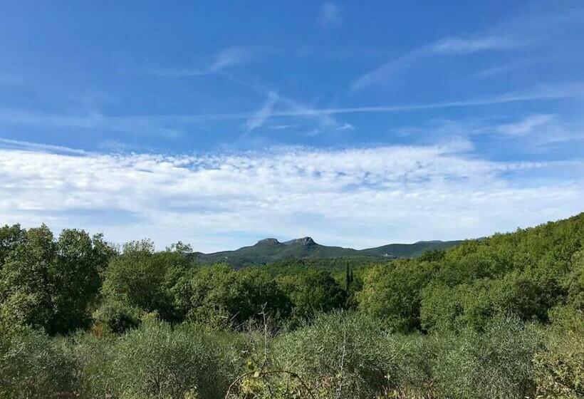 テラス付きスタンダードルーム, Cévennes Superbe Chambre D Hôtes Moderne Et Indépendante