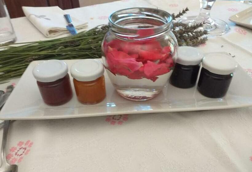 Номер Deluxe, Domus Ansantica