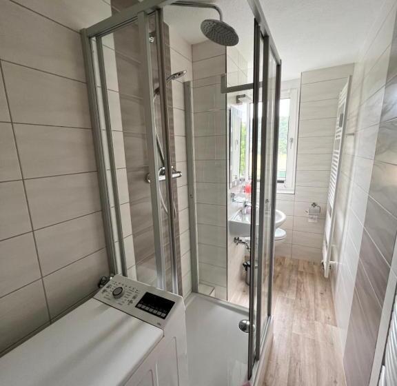 Апартаменты 1 Спальня, Pension Tor Zum Rennsteig