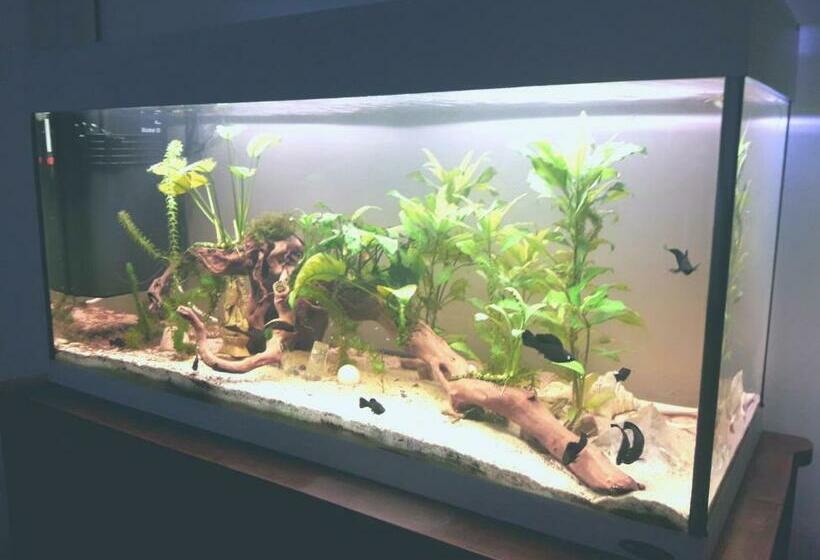 침실 2개 아파트, Antico Borgo Leone